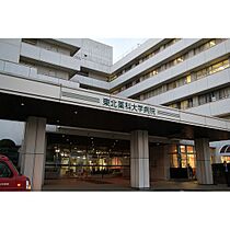 メゾンド桜  ｜ 宮城県仙台市若林区大和町4丁目（賃貸アパート1LDK・2階・40.26㎡） その17