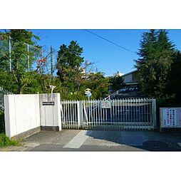Chaco桜ヶ丘