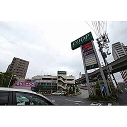 スーパー「COOP MIYAGI新寺店まで293ｍ」