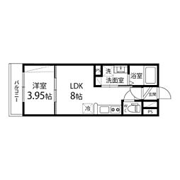 ドレスローザ 1LDKの間取図画像