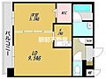 PLUMERIA駅南4階7.6万円