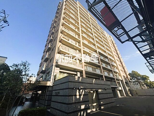 2 / 21