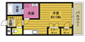 エレガンス宮本32階3.5万円