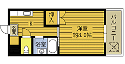 🉐敷金礼金0円！🉐ビ−ハイヴ2