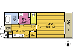 ピュアゴールド 1Kの間取図画像