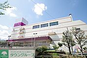 イオン 徒歩9分。ショッピングセンター 690m