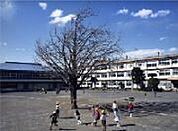 相川小学校 510m