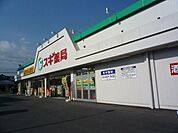 スギドラッグ 737m