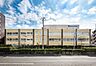 周辺：江東区立東川小学校 徒歩5分。 390m