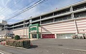 西友 THE MALL郡山店 徒歩4分。 250m