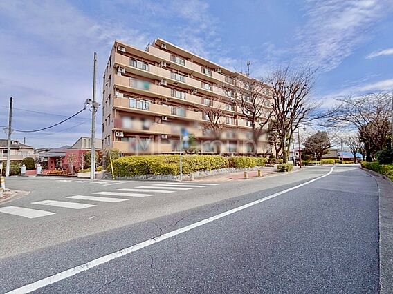 ここから始まる...