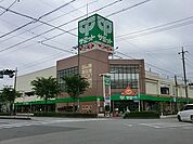 スーパー 800m サミットストア 川口赤井店