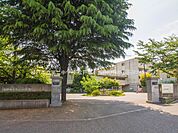 中学校 240m 松戸市立第二中学校