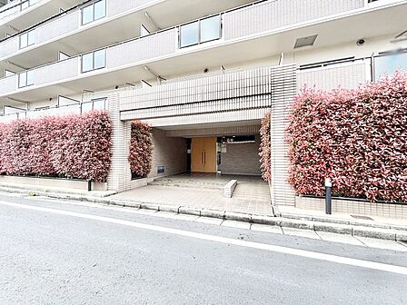 外観 綺麗なエントランスは、居住者を優しく迎えいれてくれます