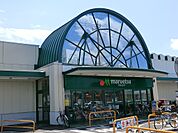 スーパー 600m マルエツ蓮田椿山店