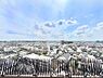 その他：お住まいからの眺望です！  