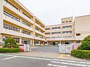 小学校 480m 吉川市立中曽根小学校