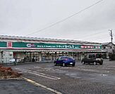 ドラッグストア 200m ドラッグセイムス 柏花野井店