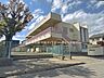 周辺：幼稚園・保育園 800m 中新井保育園