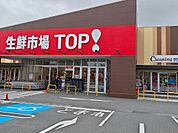スーパー 800m 生鮮市場TOP！ 松戸古ヶ崎店
