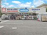 周辺：ドラッグストア 500m ウエルシア流山店