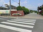 小学校 560m さいたま市立泰平小学校
