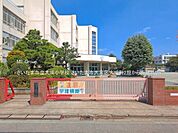 小学校 250m さいたま市立大成小学校