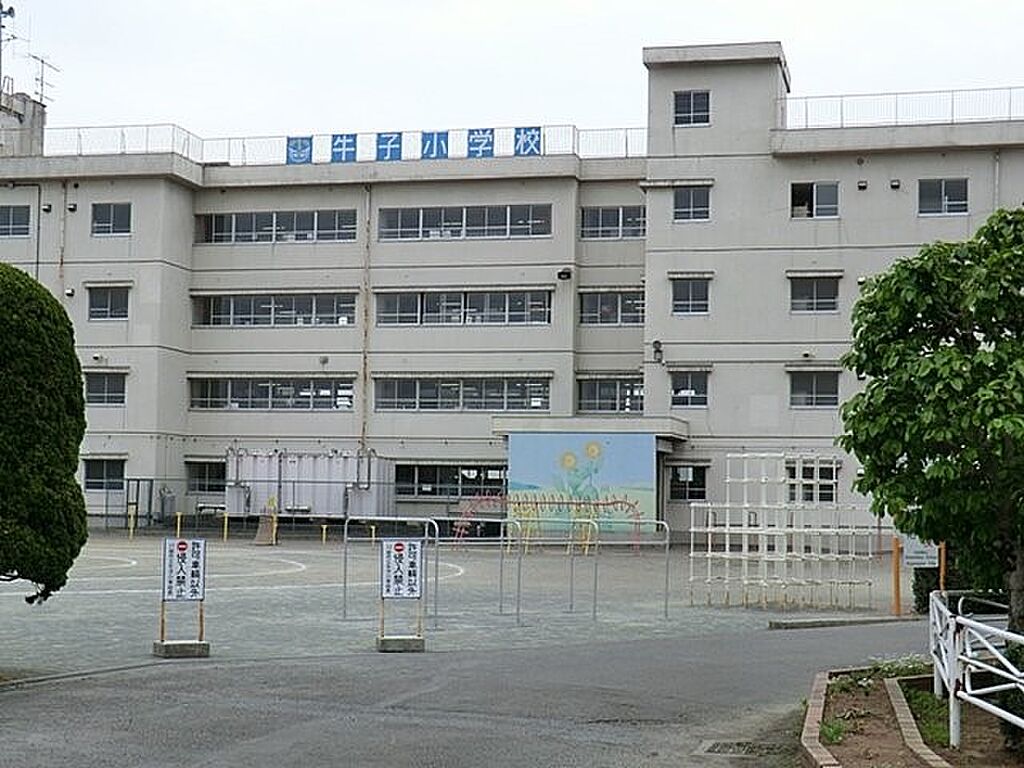 Image 50
