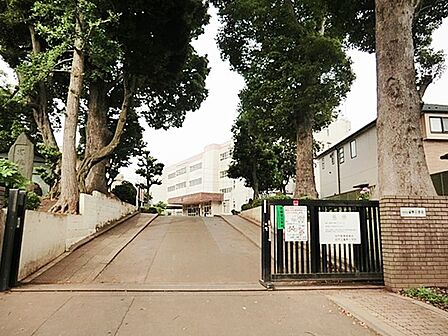 小学校 880m 柏市立富勢小学校