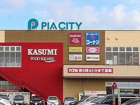 スーパー 1400m カスミ フードスクエア 柏中新宿店