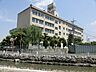 周辺：中学校 430m 草加市立青柳中学校