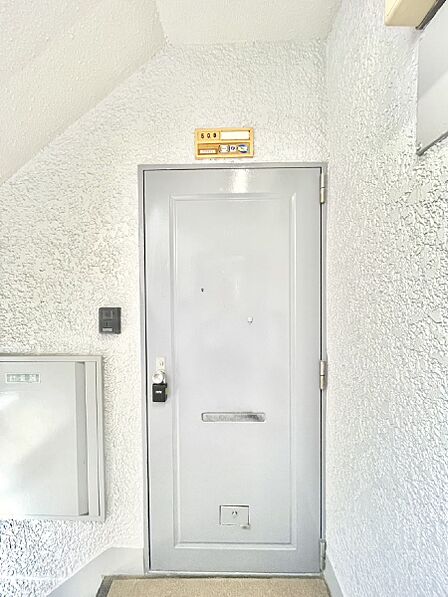 シンプルで落ち着いた雰囲気の玄関周り