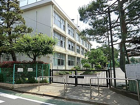 小学校 800m 練馬区立上石神井小学校