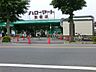 周辺：スーパー 1000m ハローマート 馬橋店