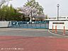 周辺：小学校 1050m さいたま市立城南小学校