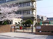 守口市立八雲中学校（410m）