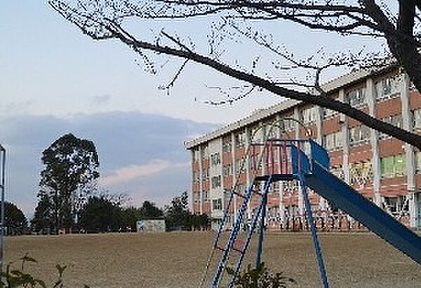 画像21:寝屋川市立国松緑丘小学校（478m）