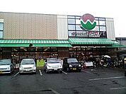 株式会社ワカバ 本社（255m）