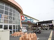 ホームセンターコーナン 東寝屋川店（101m）