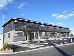 ｐｒｅｍｉｅｒ ｃｏｕｌｅｕｒ 203