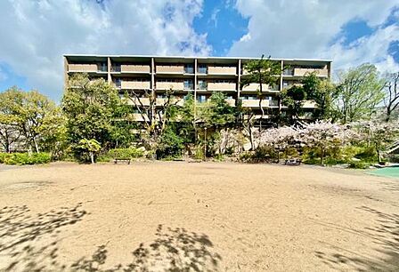 南側公園に面した、陽光と開放感に包まれる住まい。