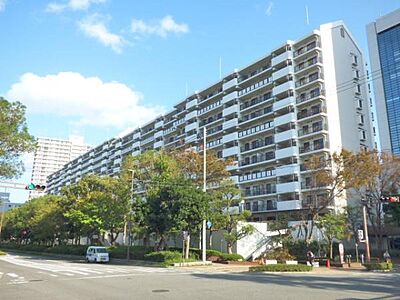 外観:物件北側前面道路北西側からの全景です。周辺は平坦地ですので、移動もラクラクです。 外観:物件北側前面道路北西側からの全景です。周辺は平坦地ですので、移動もラクラクです。