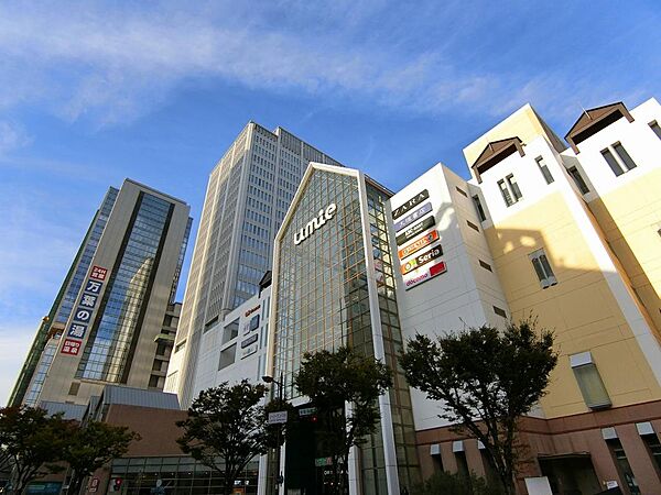 周辺を拡大表示