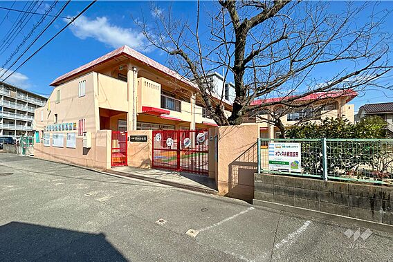 園田幼稚園[公...