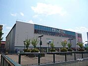 アマゴッタの外観