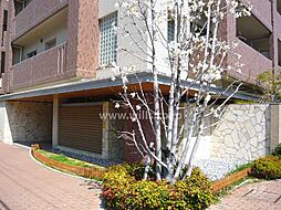 南西向きで陽当り良好！リフォーム済みの快適3LDK！
