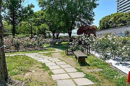 上坂部西公園の外観