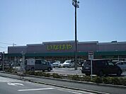 いなげや 練馬上石神井南店（592m）
