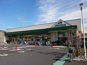 マルエツ 中野若宮店（1084m）