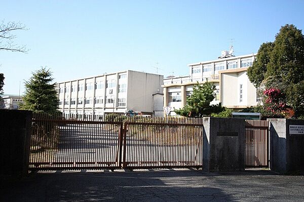 画像28:名古屋市立東星中学校 274m